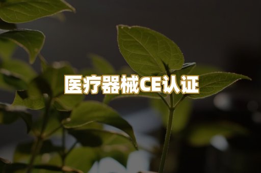 医疗器械CE认证