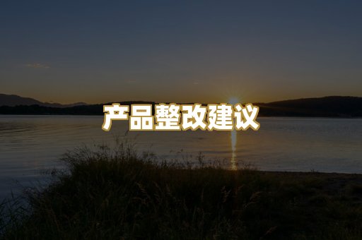 产品整改建议
