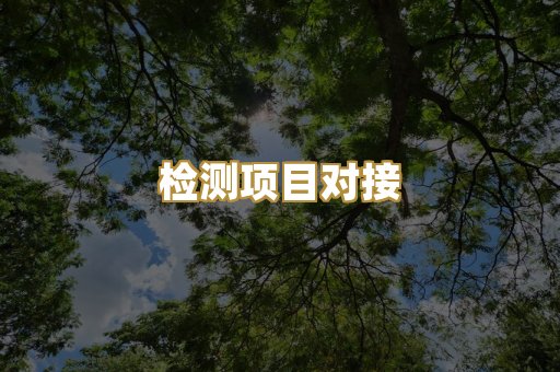 检测项目对接
